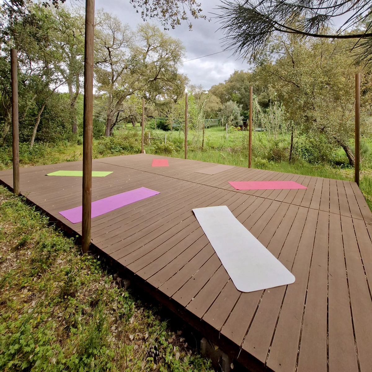 YogaPlatform