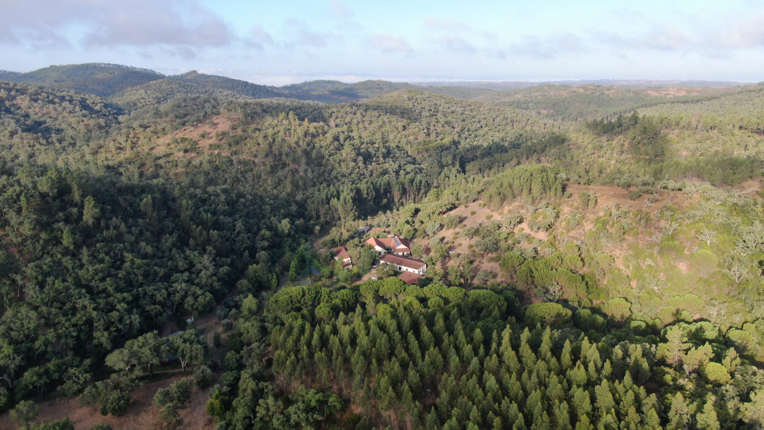 Satvana landscape